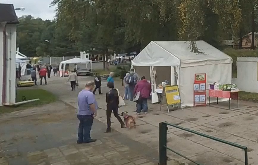 beitragsbild-tierheimfest-tierschutzliga-dorf-2017 44 Hundewelpen in Wollaberg - Welpenschmuggel auf der Autobahn - Ausnahmezustand