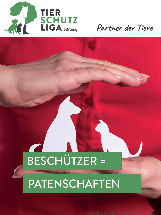 beschützer patenschaft