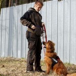 Knut-mit-Franzi-in-der-Traningsstunde-150x150 Bildversteigerung zu Gunsten von Patenhund Knut