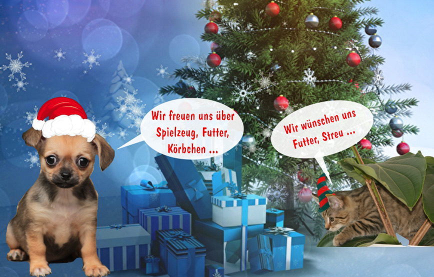 Tierweihnacht-2017-im-tierschutzligadorf 9 knubbelige Hundewelpen suchen ein Zuhause