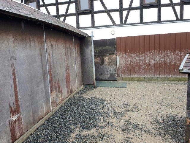dach-hütte-hundeauslauf-hunde Unser Hundeauslauf braucht ein Dach - Tierheim Unterheinsdorf