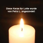 kerze für lotte von petra l angezündet