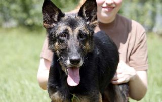 Hund Ruby glücklich vermittelt