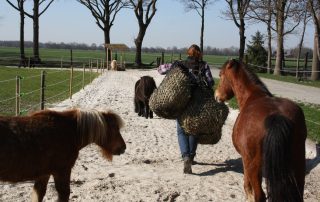 Tierschutzhof wardenburg sucht verstärkung