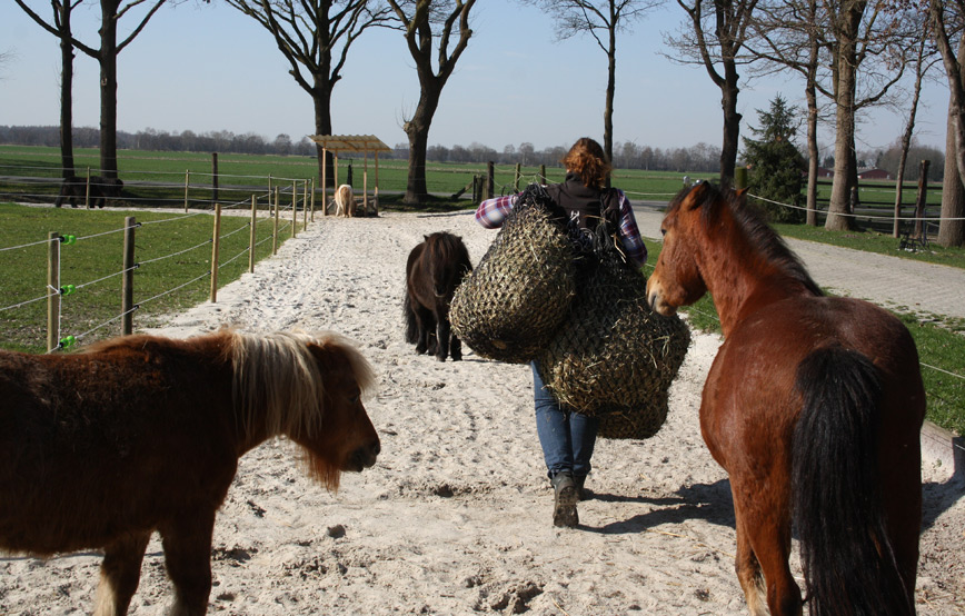 Tierschutzhof wardenburg sucht verstärkung