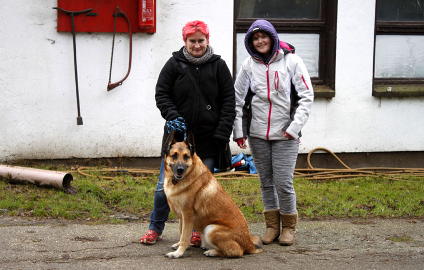Tierweihnacht-Besucher-mit-hund Ein ganzes Dorf in Weihnachtsstimmung