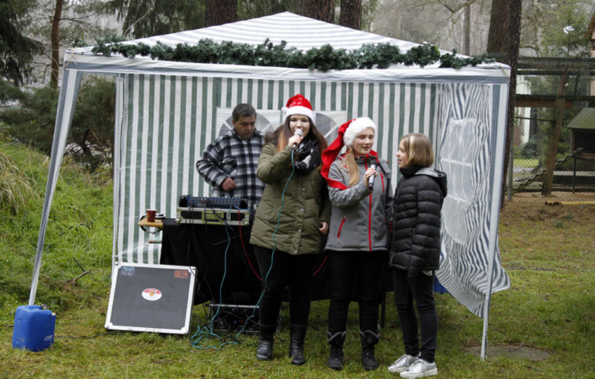 Tierweihnacht-weihnachtslieder-werden-gesungen Ein ganzes Dorf in Weihnachtsstimmung