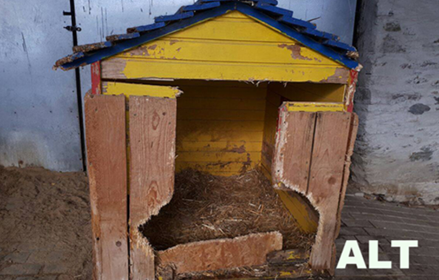 beitragsbild alte hundehütte kaputt