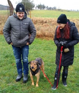 hund tara an der leine weihnachtsgrüße