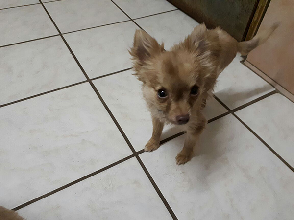 update rocky hüftgelenke operation