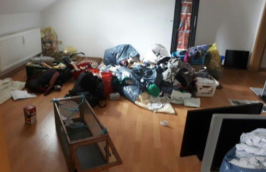 beitragsbild katze zurückgelassen käfig