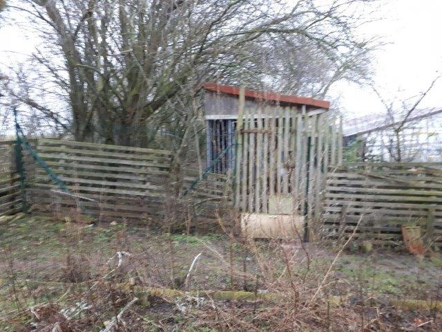 hund-hummel-verwarlost-gelände Tierliebe sieht anders aus!