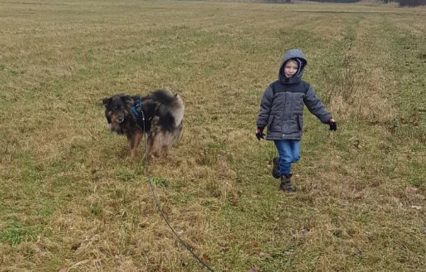 hund-rocky-mit-kind-auf-dem-feld Rocky - knuddeln, aufpassen, toben