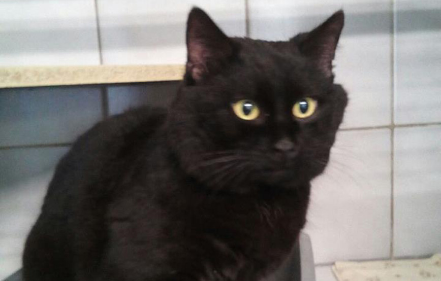 20180206 FK Hähnchen