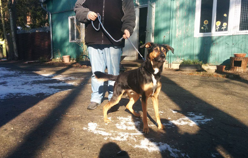 20180212_FH_Groß Oßnig