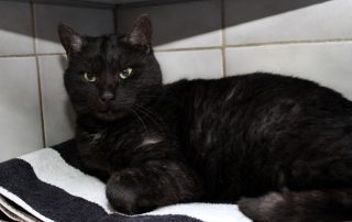 hermann kater rückläufer