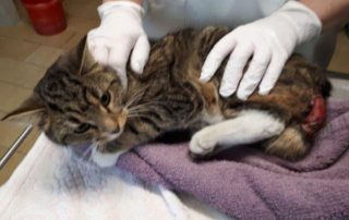beitragsbild hermann kater rückläufer suche