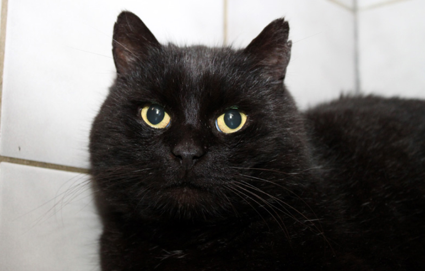 micha glücklichvermittelt