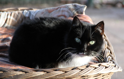 evi ekh bückeburg beitragsbild