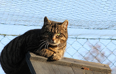 gwendolinei ekh bückeburg-beitragsbild