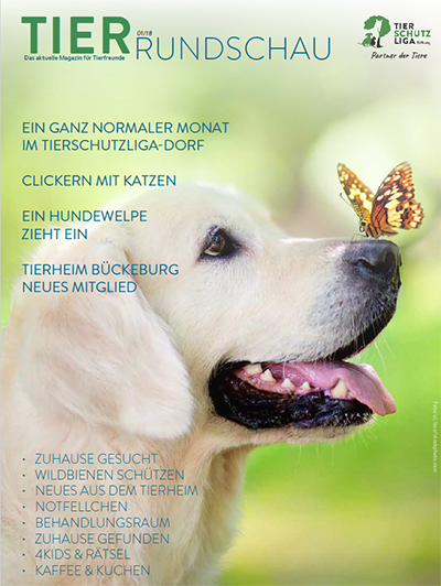 thumb01_18 Tierrundschau - aktuelles Tiermagazin