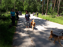 hundewanderung-pfingsten-strasse Hunde-Pfingstwanderung 2018