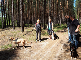 hundewanderung-pfingsten-wald Hunde-Pfingstwanderung 2018