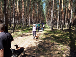 hundewanderung-pfingsten-waldweg Hunde-Pfingstwanderung 2018