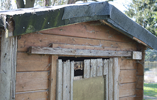 hütten unterheinsdorf wilde katzen beitragsbild