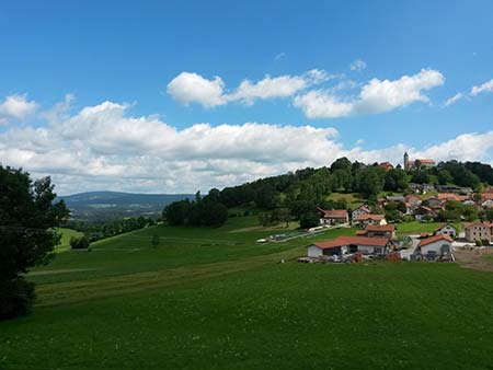 Tierheim Wollaberg Tierschutzliga Stiftung