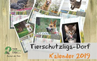 Beitragsbild-Tierschutzkalender-2019-320x202 Spendenaktion in Cottbus mit Straßenmusik