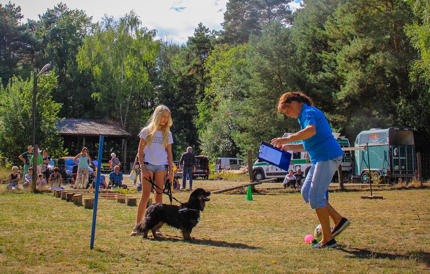 Hundeparcours-tierheimfest Sommer, Sonne, Tierheimfest