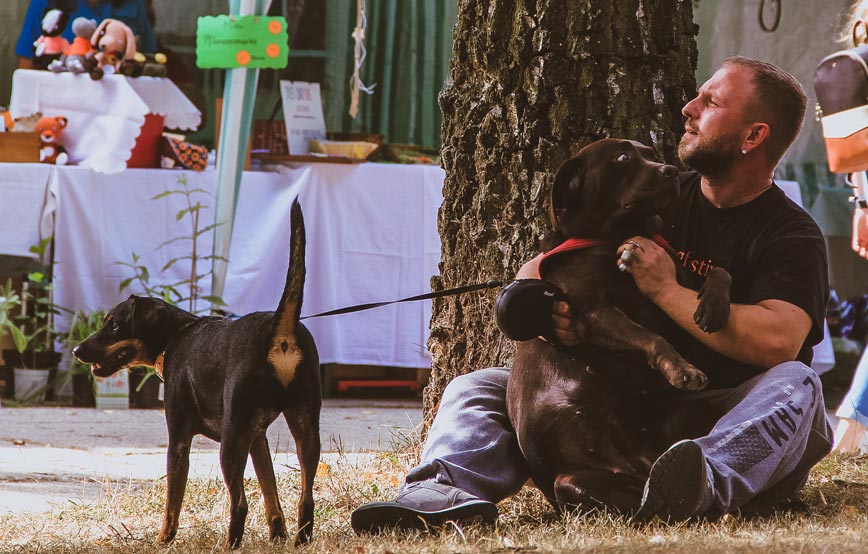 Tierheimfest-2018-mann-mit-hund Sommer, Sonne, Tierheimfest