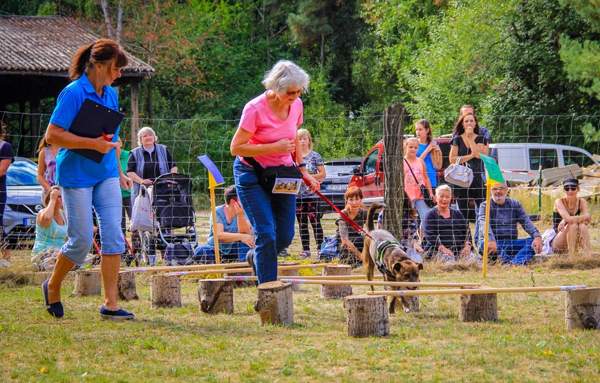Tierheimfest-hundeparcours Sommer, Sonne, Tierheimfest