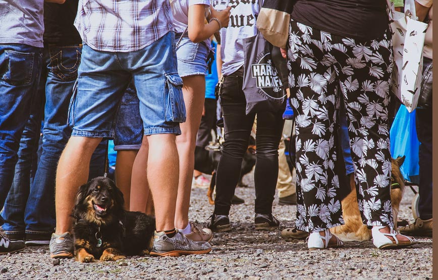 tierheimfest-2018-hund-zwischen-beinen Sommer, Sonne, Tierheimfest