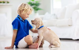 Ich-will-ein-Haustier-BEITRAG-314x200px Zahnpflege beim Hund