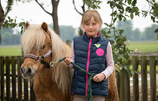 pferde-ratgeber-pony Arthrose beim Pferd 