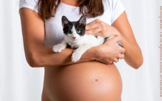 schwangerschaft-katze-toxoplasmose-vorbeugen-320x200 Katzenratgeber