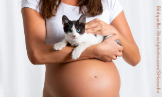Schwangere hat Katze auf dem Arm und streichelt sie