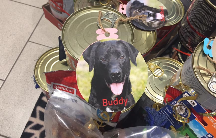 Weihnachtswunsch-Hund-Buddy Fressnapf-Kunden erfüllten Herzenswünsche