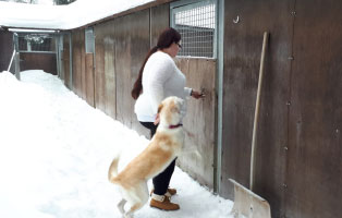 schnuppertag-ausbildung-betreuer-schnee Azubi Schnuppertag im Tierheim Wollaberg - Ausbildung zum Tierpfleger