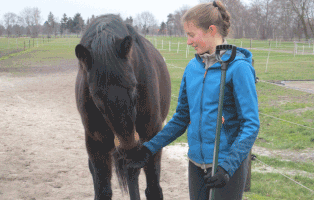 nina-bundesfreiwilligendienst-fuettern Ein Jahr auf dem Tierschutzhof Wardenburg