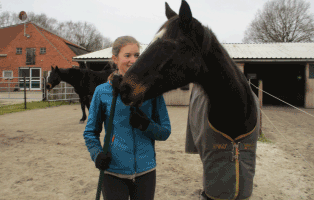 nina-bundesfreiwilligendienst-pferd Ein Jahr auf dem Tierschutzhof Wardenburg