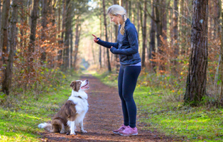 Hundeerziehung-Hundetraining-BEITRAG-314x200px Ein Tierheimhund zieht ein