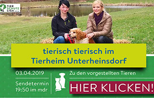 tierisch-tierisch-beitrag 30 Jahre Tierschutz - Über 50.000 Tiere in Geborgenheit - Tierschutzliga