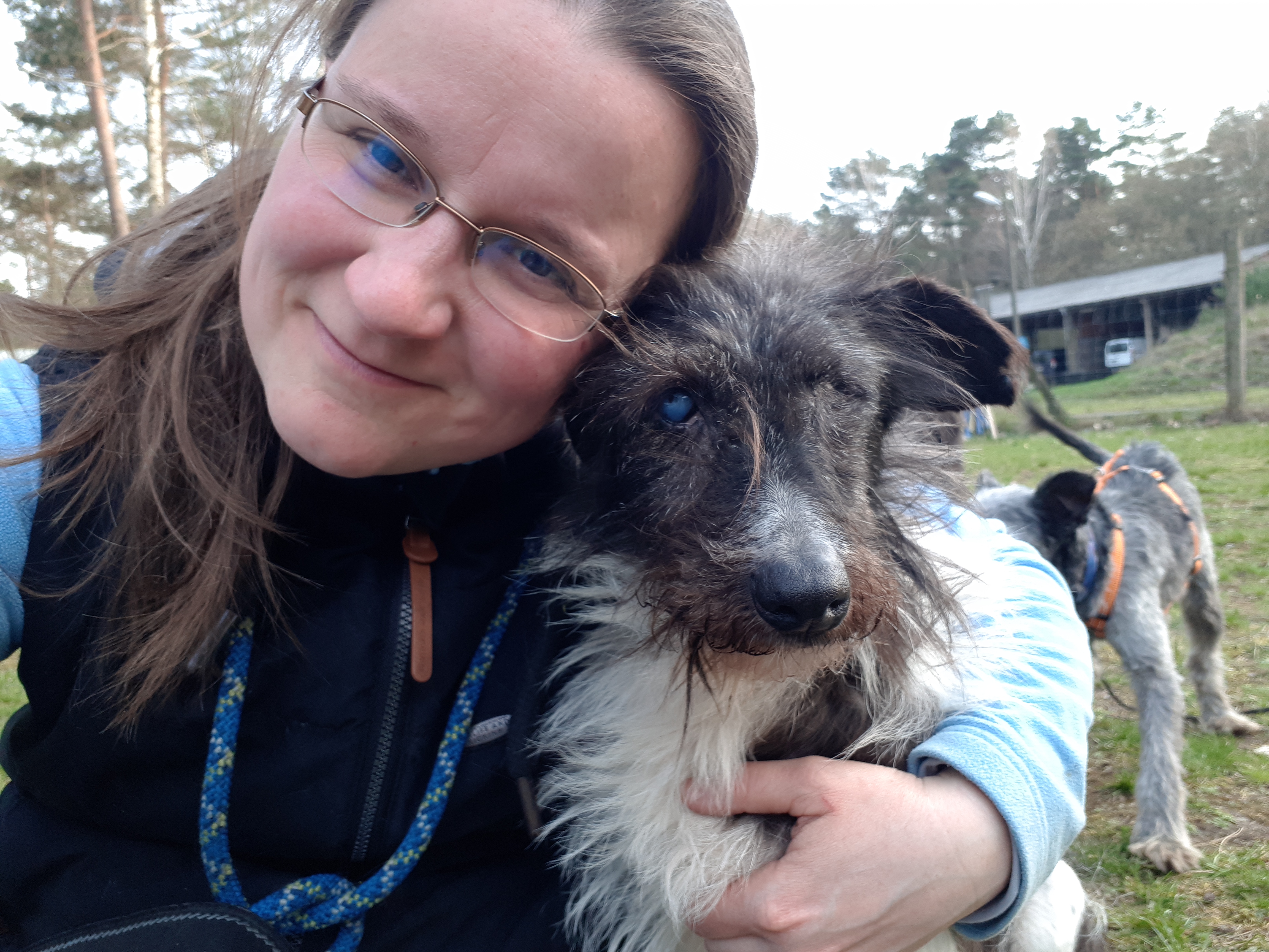Stange Animal Hoarding