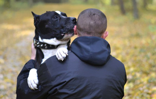 Warum-leckt-mein-Hund-mich-ab-BEITRAG-314x200px Ein Tierheimhund zieht ein