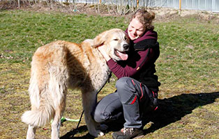 hund-manne-gluecklich-vermittelt Glücklich vermittelt - Tiere haben ein Zuhause