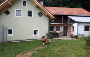 breitenberg-haupthaus-hunde Breitenberg beginnt zu leben