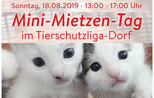 mini-mietzen-tag 30 Jahre Tierschutz - Über 50.000 Tiere in Geborgenheit - Tierschutzliga